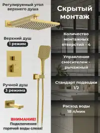 Встраиваемая душевая система AVS TERMO 811-504-BG термостат с изливом, брашированное золото