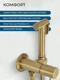 Гигиенический душ со смесителем AVS Slimmer 811-131-BG, брашированное золото