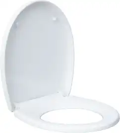 Унитаз подвесной Aquanet ZV-1 с сиденьем микролифт, белый