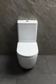 Напольный унитаз Allen Brau Priority Tornado 4.31006.20 безободковый, цвет белый глянец