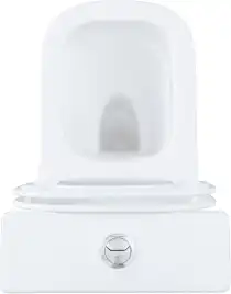 Чаша напольного унитаза Aquanet Fine Rimless FINE-C Soft Close с сиденьем микролифт