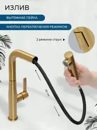 Смесители для кухни AVS 811-191-BG, брашированное золото