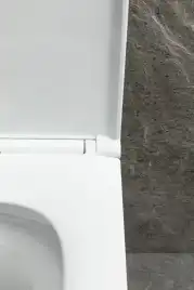 Подвесной унитаз Allen Brau Priority Tornado 4.31009.20 безободковый, цвет белый глянец