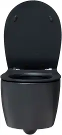 Подвесной безободковый унитаз Allen Brau Fantasy 4.11004.31 без сиденья, черный матовый