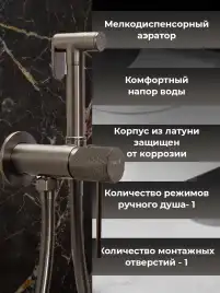 Гигиенический душ со смесителем AVS SEEME 811-331-GM, оружейная сталь