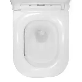 Унитаз подвесной Azario ESCONDA AZ-2805E подвесной, безободковый, со смывом 
