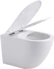 Унитаз подвесной Aquanet Rimless Cetus W Short LX-1900, с сиденьем микролифтом