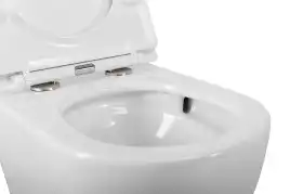 Подвесной унитаз CEZARES RELAX CZR-38088-49-TH-TOR/SC, со смывом TORNADO, с сиденьем микролифт