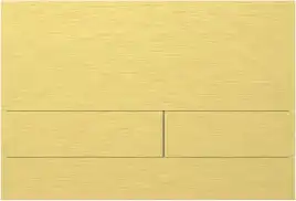 Клавиша смыва Allen Brau Infinity 9.20008.GB золото браш