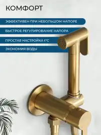 Гигиенический душ со смесителем AVS Elegant 811-431-BG, брашированное золото