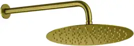 Верхний душ Allen Brau Priority 5.31A17-GB золото брашированное