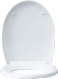 Унитаз подвесной Aquanet ZV-1 с сиденьем микролифт, белый