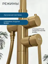 Смесители для ванны AVS Elegant 811-412-BG напольный, брашированное золото