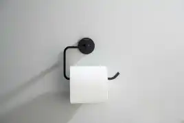 Держатель туалетной бумаги Aquatek Бетта AQ4608MB, Черный матовый