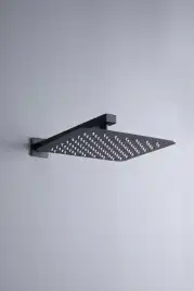 Верхний душ Allen Brau Infinity 5.21019-31 черный матовый
