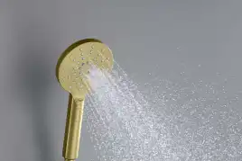 Душевая лейка Aquatek Оберон AQ2006BG, Золото матовое