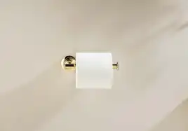 Держатель туалетной бумаги Aquatek Классик AQ4508PG, Золото глянцевое