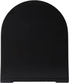 Крышка-сиденье Allen Brau Priority 4.31004.31 черный матовый