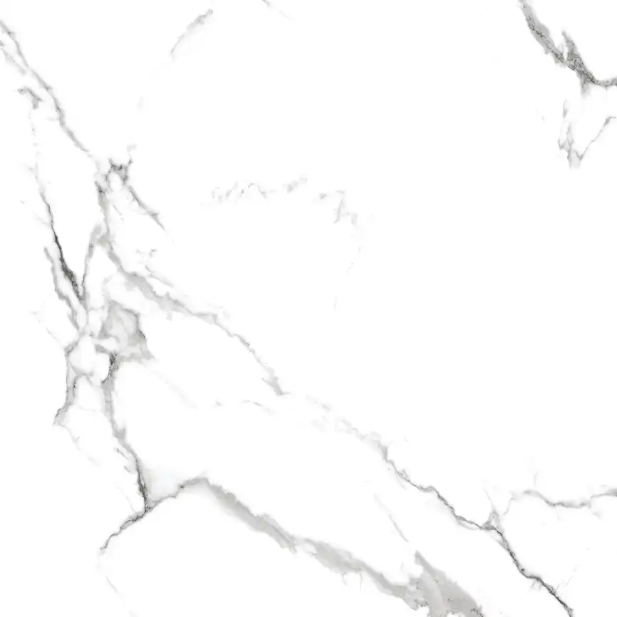 Керамогранит AZARIO CALACATTA  ELEGANZA 60х60 Glossy (F109082189G) фото 6