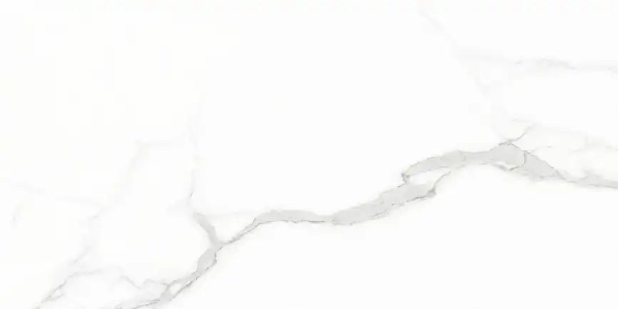 Керамогранит AZARIO WHITE CARARRA 60х120 Glossy (GJT612670) фото 2