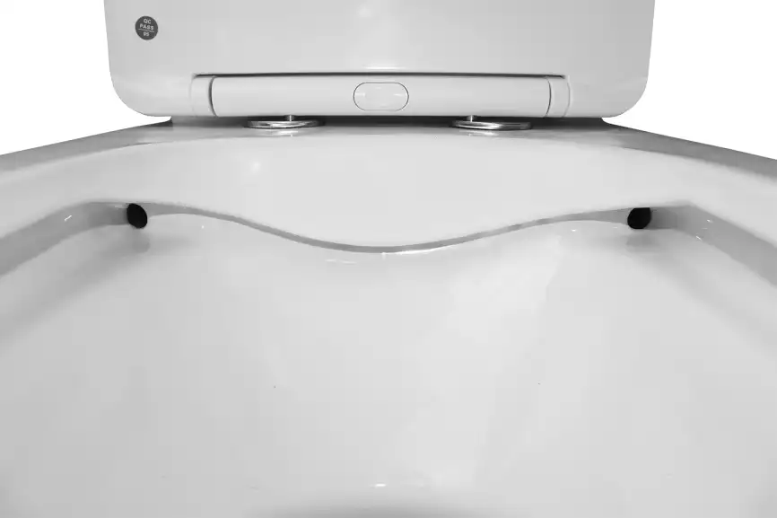 Унитаз-моноблок Azario Terni AZ-8618M безободковый, в комплекте с сиденьем микролифт, Белый мрамор фото 5