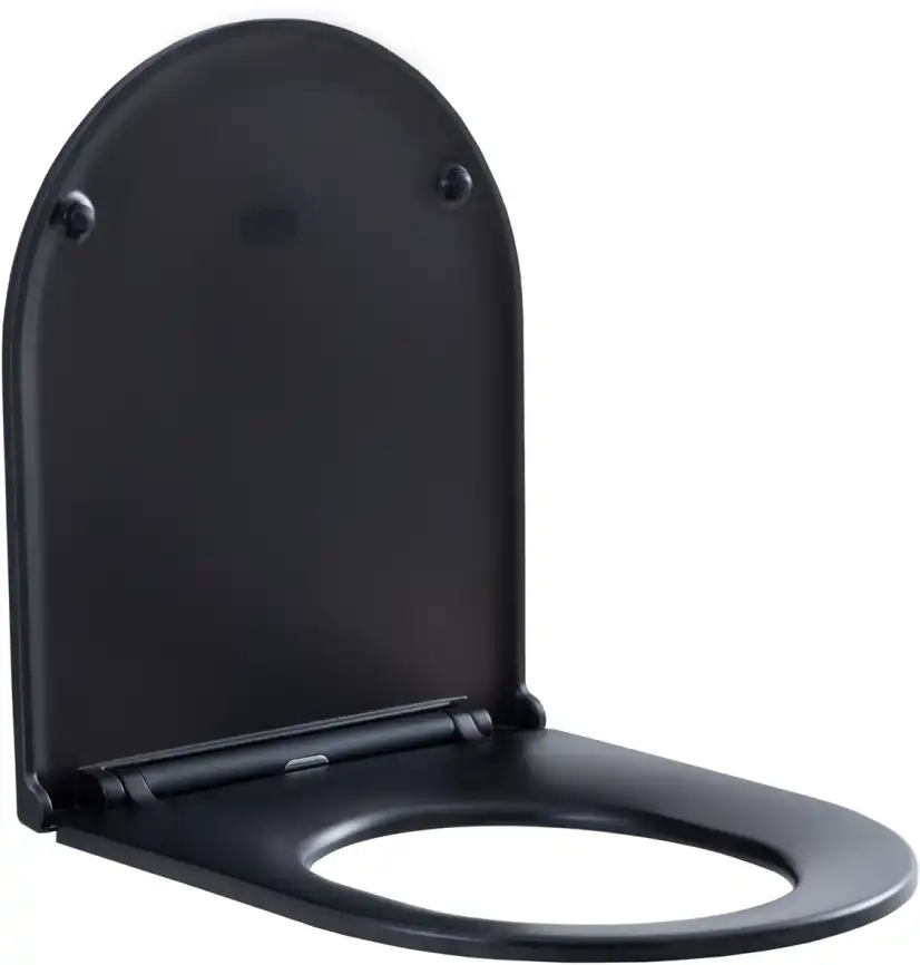 Сиденье для унитаза Aquanet Lake черный матовый фото 1