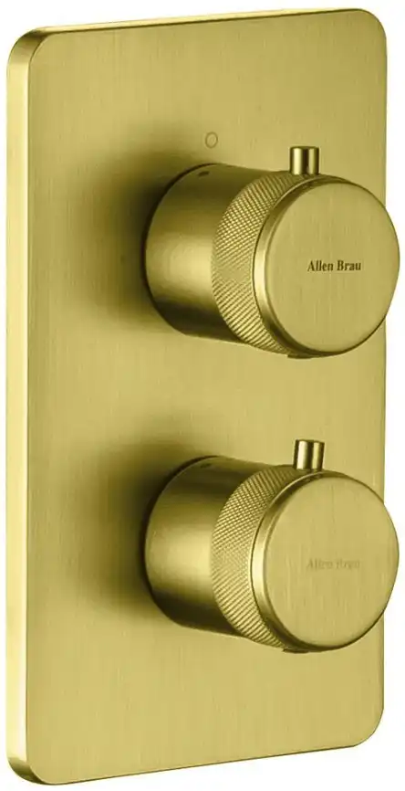 Смеситель для душа Allen Brau Priority 5.31213-GB (с внутренней частью, 2 выхода) золото фото 1