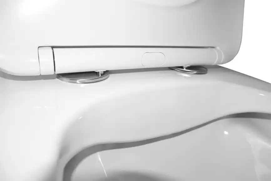 Унитаз-моноблок Azario Lodi AZ-8617 безободковый, в комплекте с сиденьем микролифт, Белый глянцевый фото 6