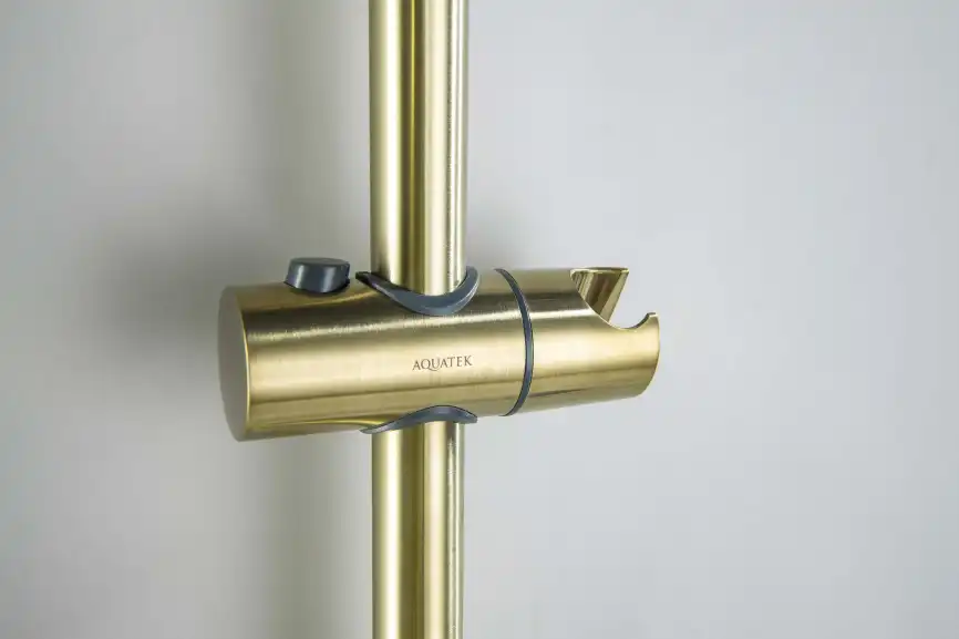 Душевой гарнитур Aquatek Оберон AQ2016BG, Золото матовое фото 10
