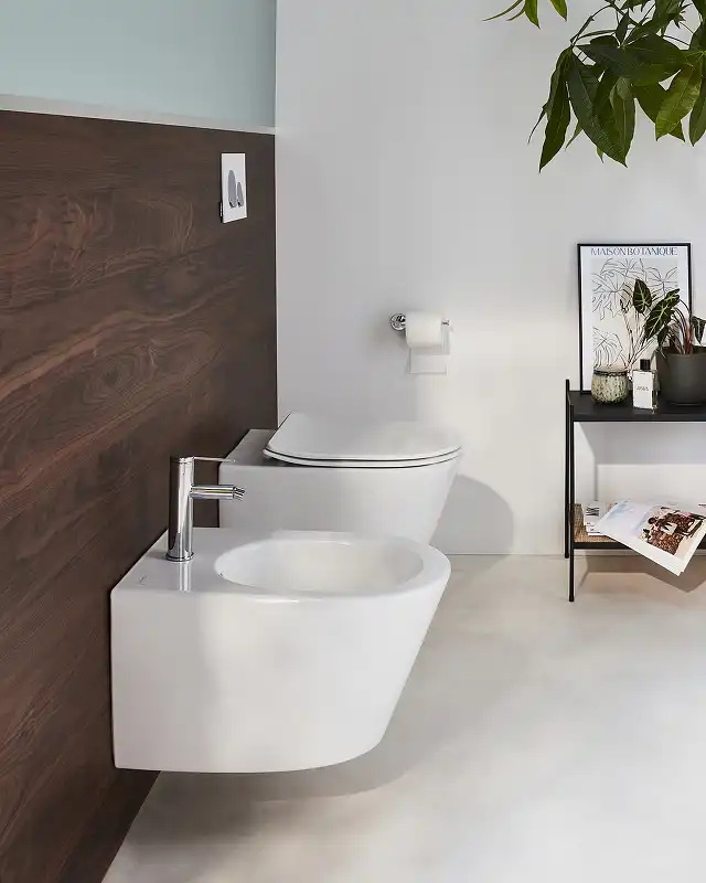 Подвесной унитаз Jacob Delafon Bastille безободковый, EDAB102-00, белый фото 5