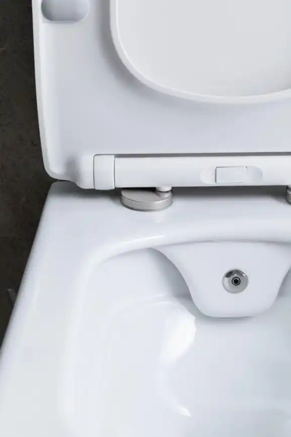 Подвесной унитаз Allen Brau Liberty 4.33009.20 безободковый, цвет белый фото 13