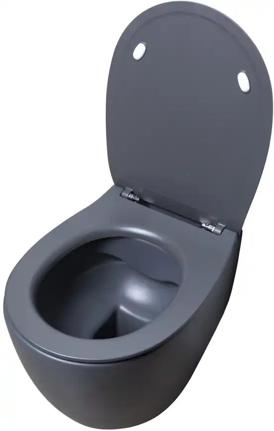Подвесной безободковый унитаз Allen Brau Fantasy 4.11004.AN без сиденья, антрацит фото 5
