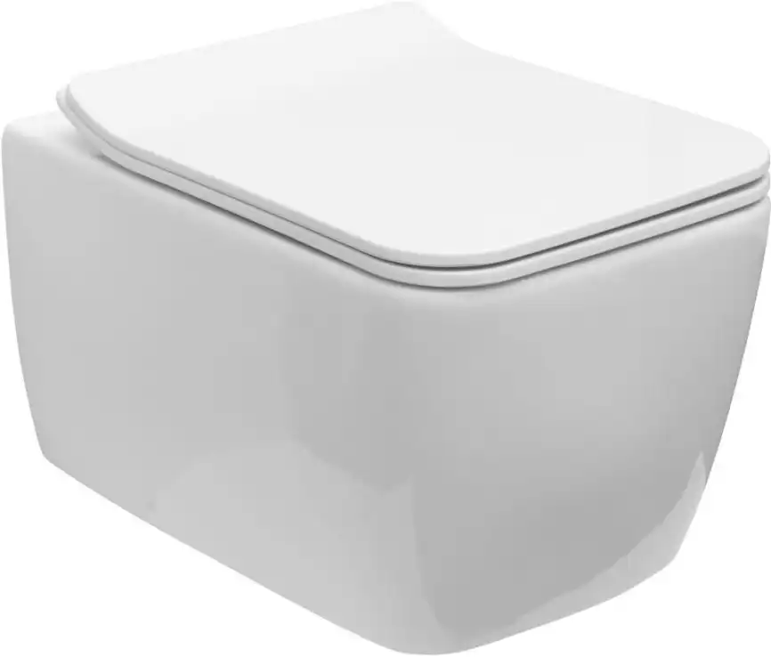 Подвесной унитаз Allen Brau Liberty 4.33007.20 безободковый, цвет белый фото 1