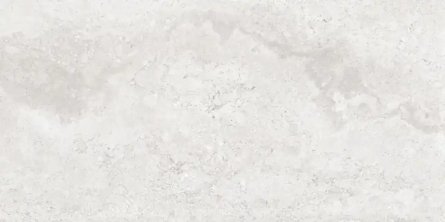 Керамогранит AZARIO CALLIZA SILVER 60х120 Matt (F4110821130M) фото 2