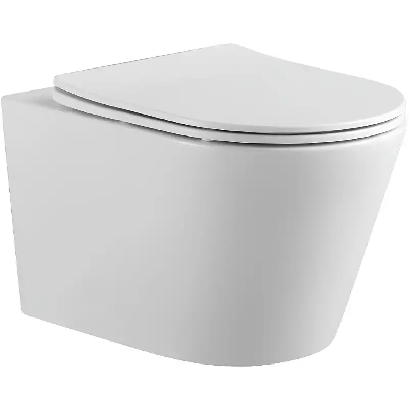 Подвесной унитаз Aquatek Вега AQ1905-00 безободковый, с сиденьем микролифт, Белый фото 1