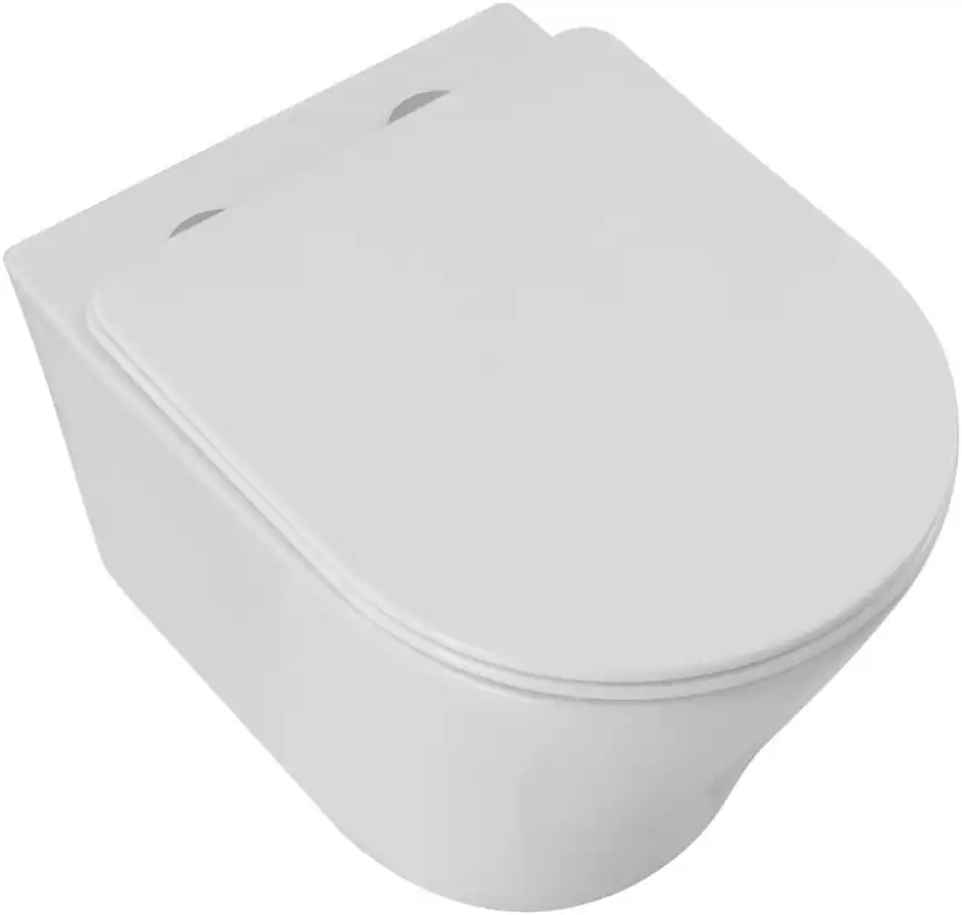 Унитаз подвесной Aquanet ZV-3 с сиденьем микролифт, белый фото 6