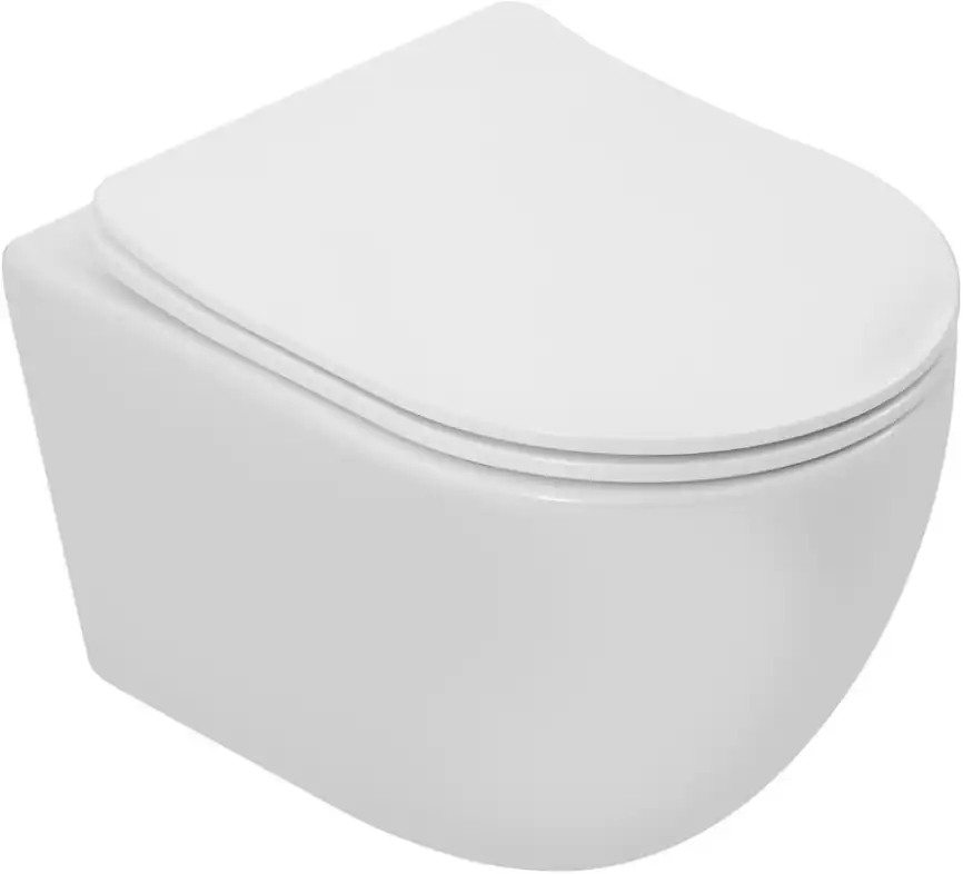 Унитаз подвесной Aquanet Cetus 3.0 Tornado с сиденьем микролифт 348005, белый фото 5