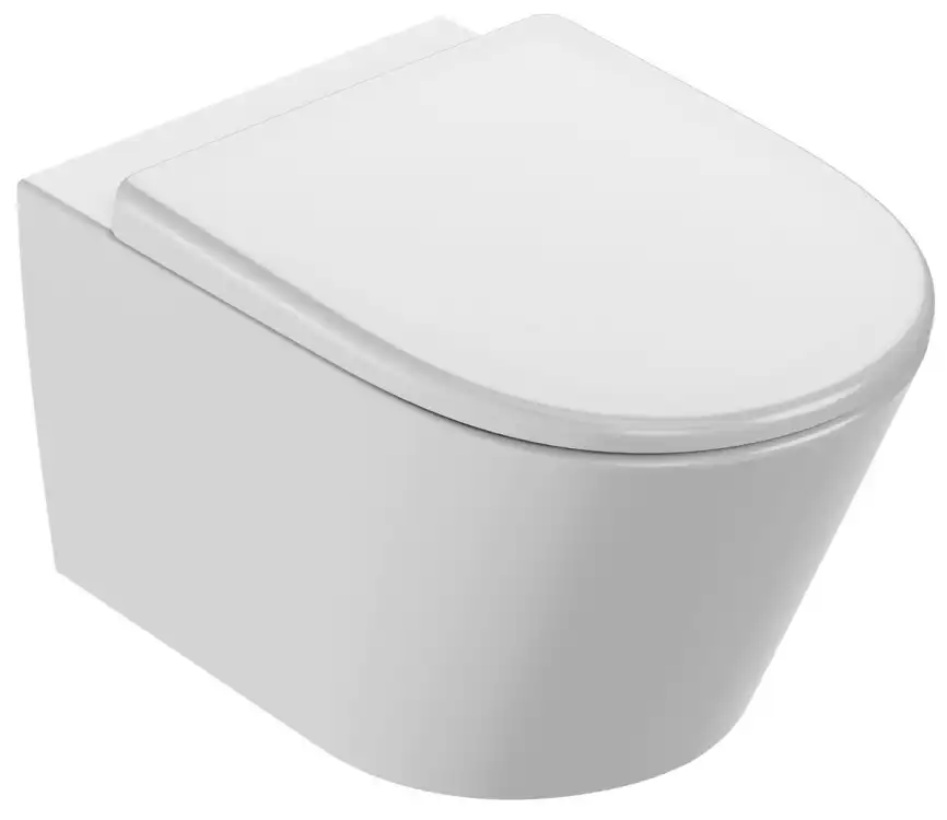 Подвесной унитаз Jacob Delafon Bastille безободковый, EDAB102-00, белый фото 2