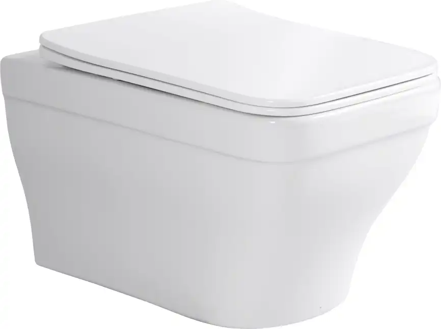 Унитаз подвесной Aquanet Elegant Rimless Elegant W LX-1163 Soft Close, белый фото 3