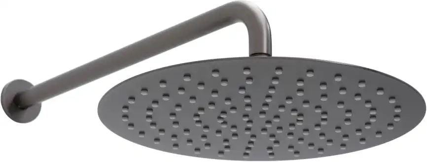 Верхний душ Allen Brau Priority 5.31A17-MG графит брашированный фото 1