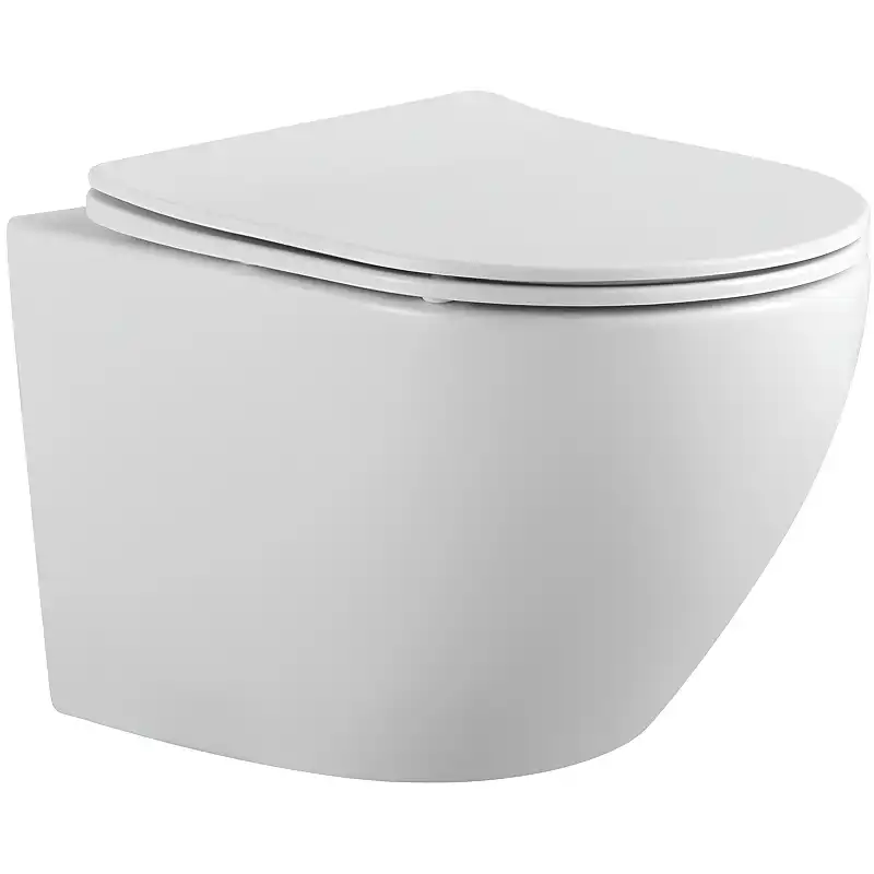 Подвесной унитаз Aquatek Европа AQ1901-00 безободковый, с сиденьем микролифт, Белый фото 1