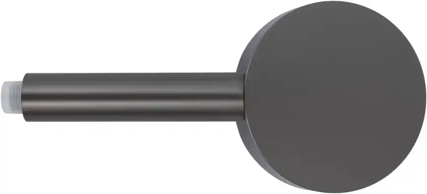 Душевая лейка Allen Brau Priority 5.31B20-MG графит брашированный фото 3