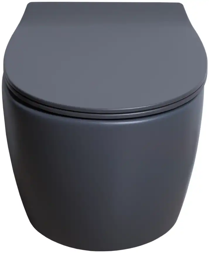 Подвесной безободковый унитаз Allen Brau Fantasy 4.11004.AN без сиденья, антрацит фото 4