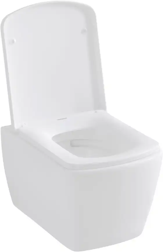 Подвесной безободковый унитаз Allen Brau Liberty 4.33004.20 без сиденья, белый глянец фото 4