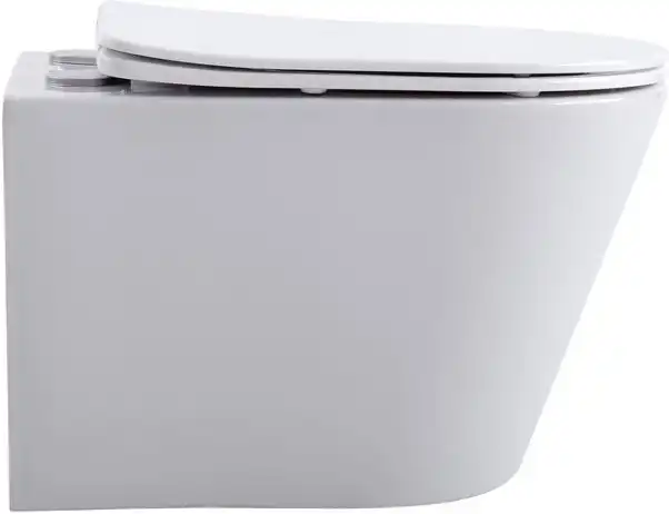 Унитаз подвесной Aquanet Rimless Atago 2.0 W LX-1905, с сиденьем микролифт фото 4