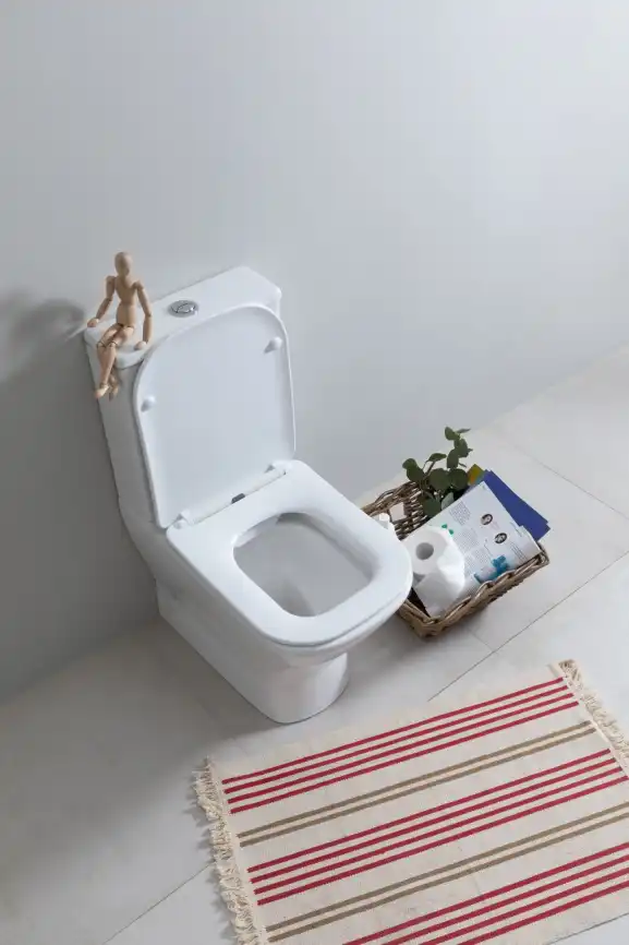 Чаша напольного унитаза Aquanet Fine Rimless FINE-C Soft Close с сиденьем микролифт фото 19