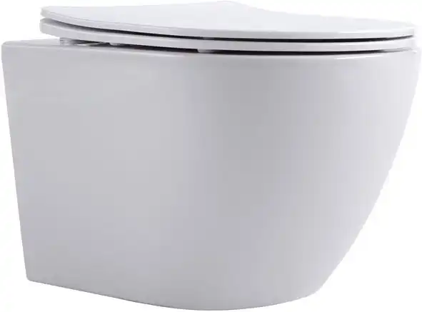 Унитаз подвесной Aquanet Rimless Cetus W Short LX-1900, с сиденьем микролифтом фото 1