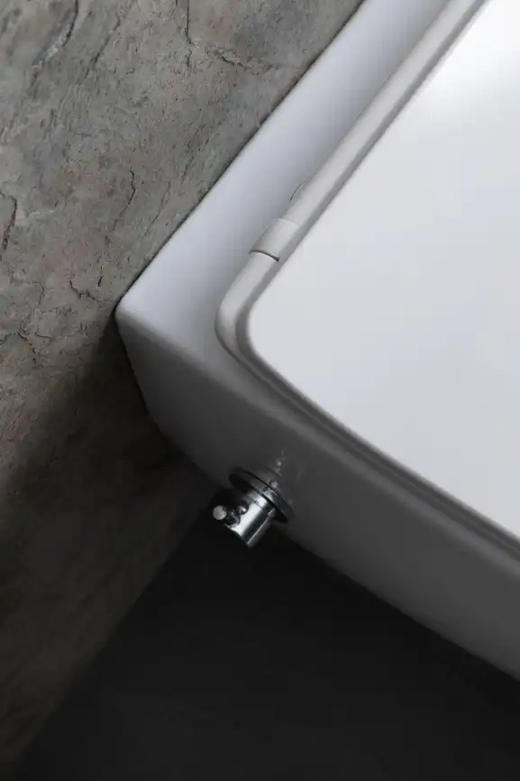 Подвесной унитаз Allen Brau Liberty 4.33009.20 безободковый, цвет белый фото 12