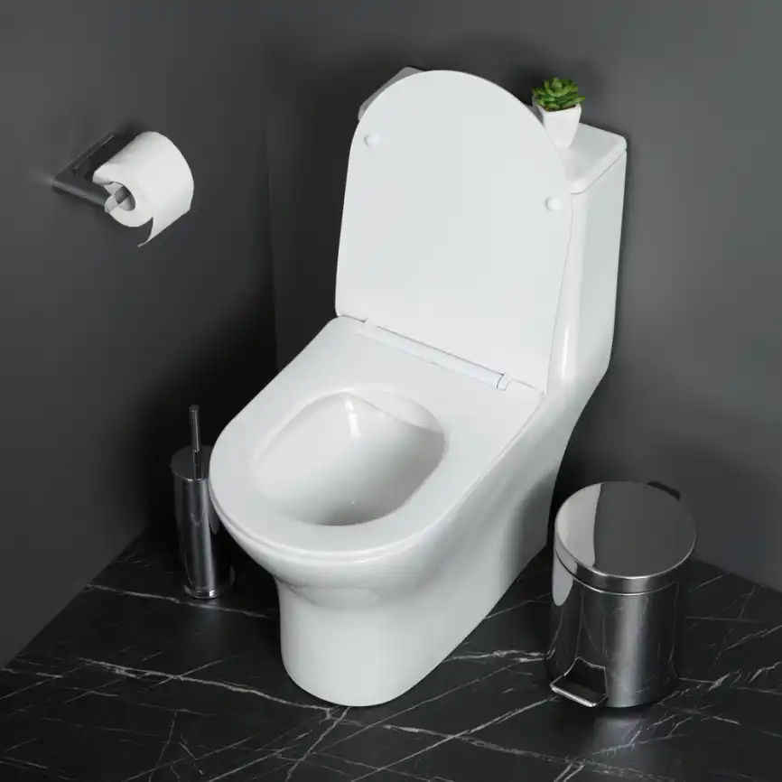 Унитаз-моноблок BelBagno LOUNGE BB8618CPR-MN/SC, безободковый, с сиденьем микролифт, Белый фото 6