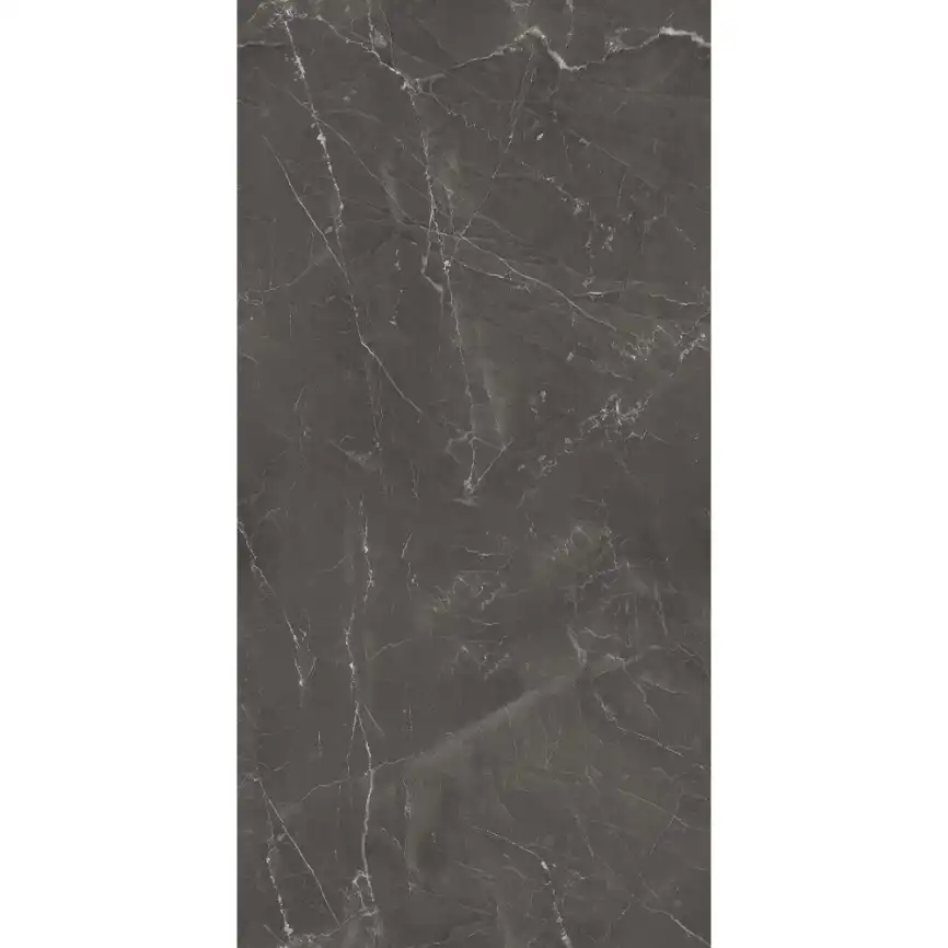 Керамогранит AVS Nivea Grey 60x120 полированный, серый фото 3